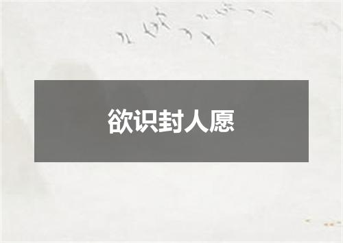 欲识封人愿