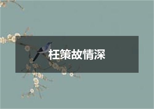 枉策故情深