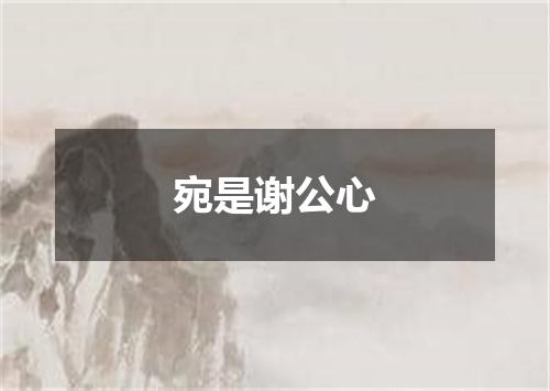 宛是谢公心