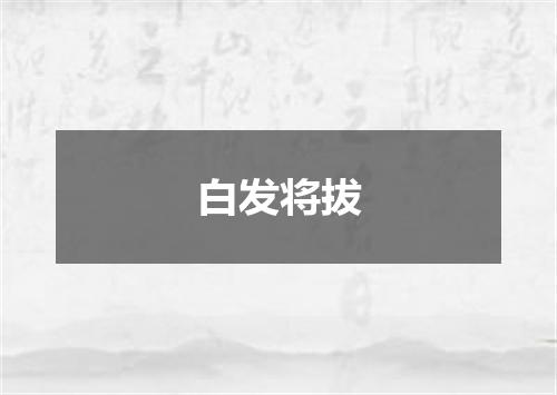 白发将拔