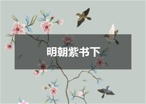 明朝紫书下