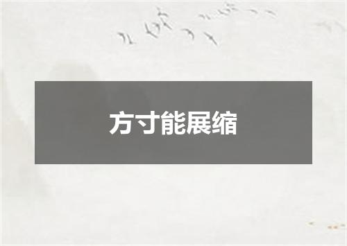 方寸能展缩