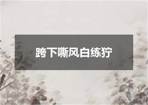 跨下嘶风白练狞