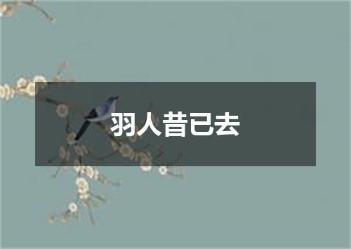 羽人昔已去