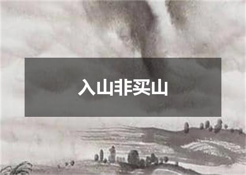 入山非买山