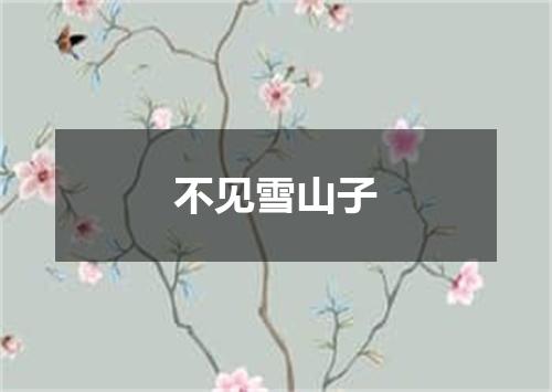 不见雪山子