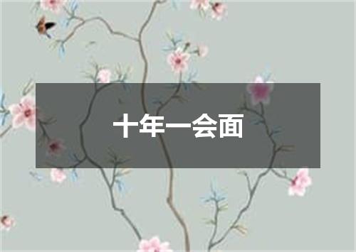 十年一会面