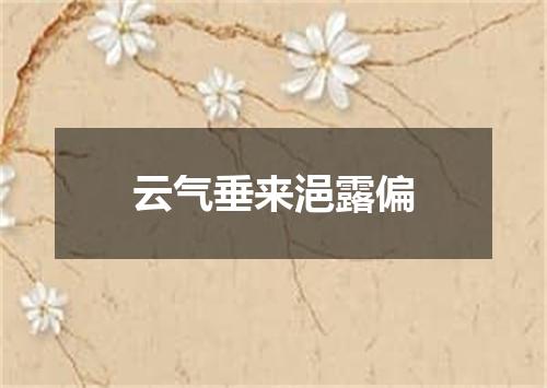 云气垂来浥露偏