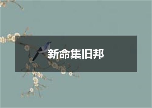 新命集旧邦