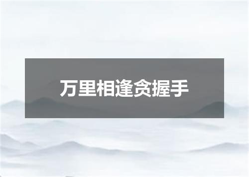 万里相逢贪握手