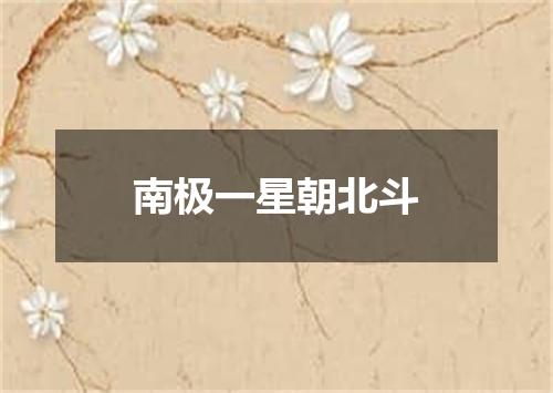 南极一星朝北斗