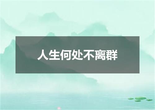 人生何处不离群