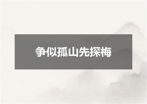 争似孤山先探梅
