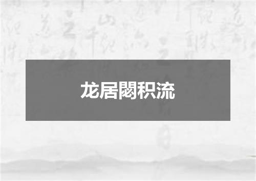 龙居閟积流