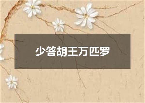 少答胡王万匹罗