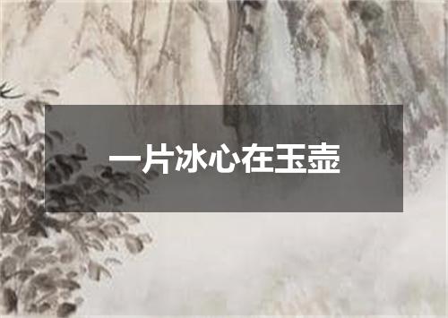 一片冰心在玉壶