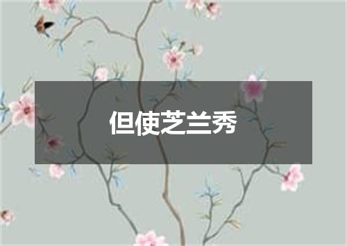 但使芝兰秀