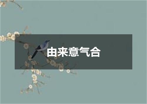 由来意气合