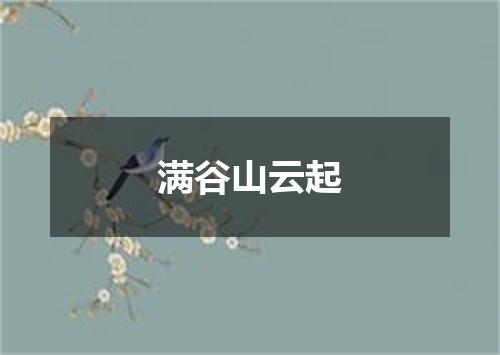 满谷山云起
