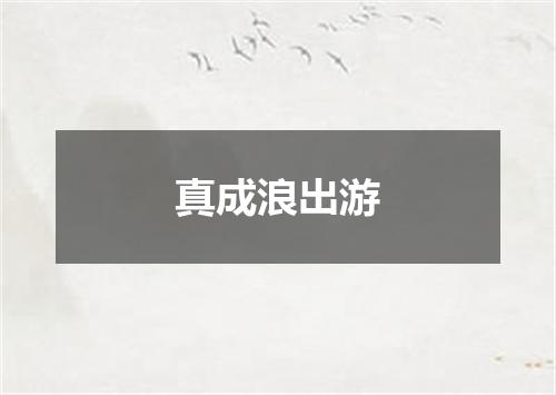 真成浪出游