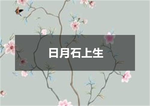 日月石上生