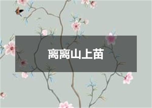 离离山上苗