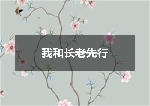 我和长老先行