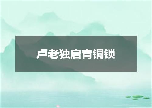卢老独启青铜锁