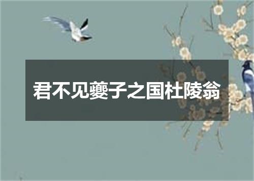 君不见夔子之国杜陵翁