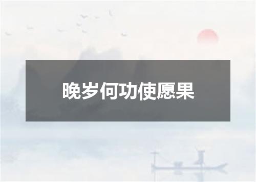晚岁何功使愿果