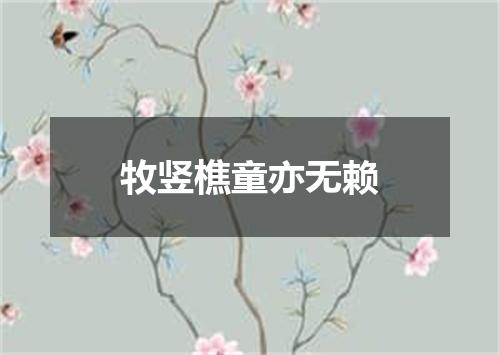 牧竖樵童亦无赖