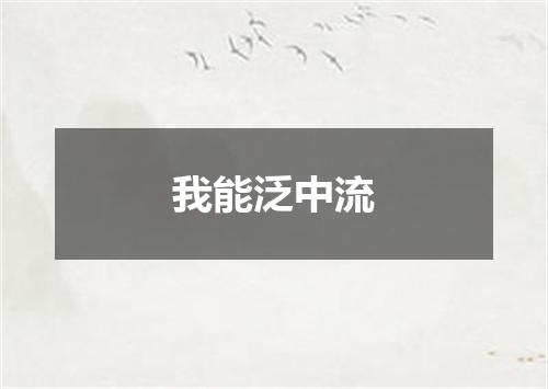 我能泛中流