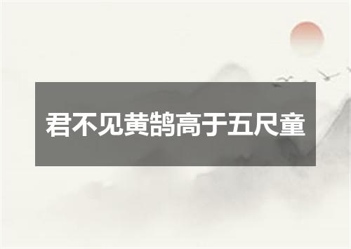 君不见黄鹄高于五尺童
