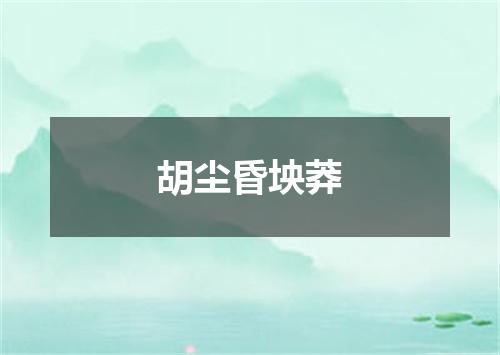 胡尘昏坱莽