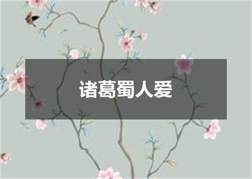 诸葛蜀人爱