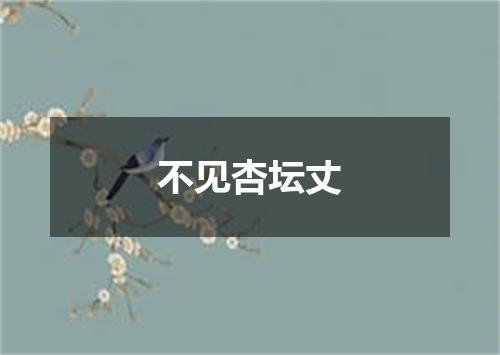 不见杏坛丈