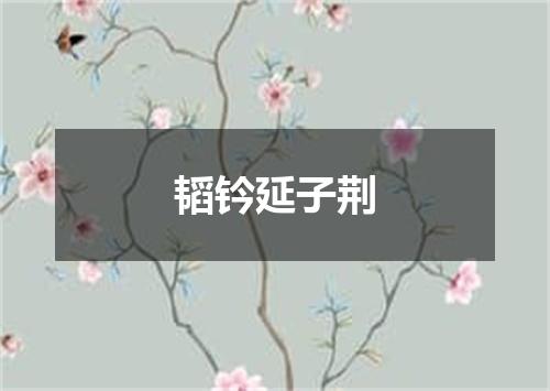 韬钤延子荆