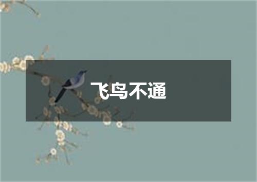 飞鸟不通