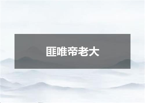 匪唯帝老大