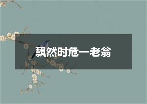 飘然时危一老翁