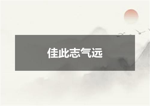 佳此志气远