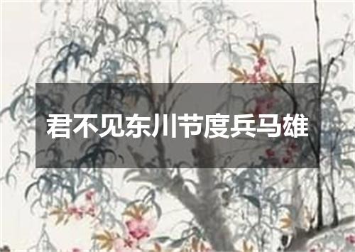 君不见东川节度兵马雄
