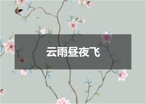 云雨昼夜飞