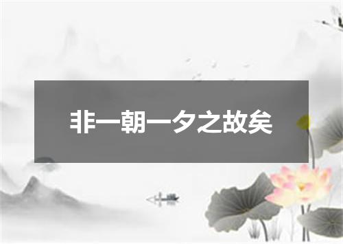 非一朝一夕之故矣
