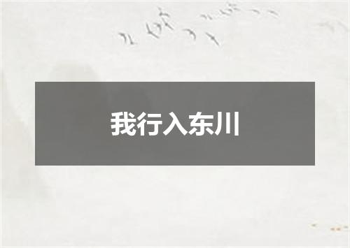 我行入东川