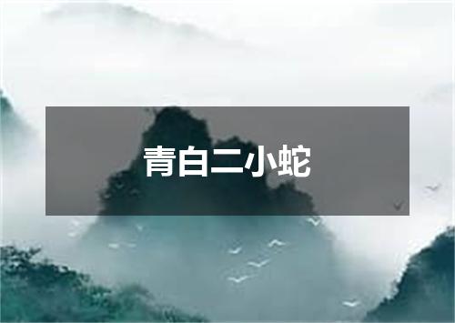 青白二小蛇
