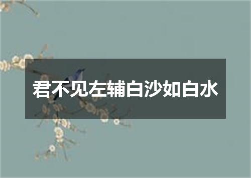 君不见左辅白沙如白水