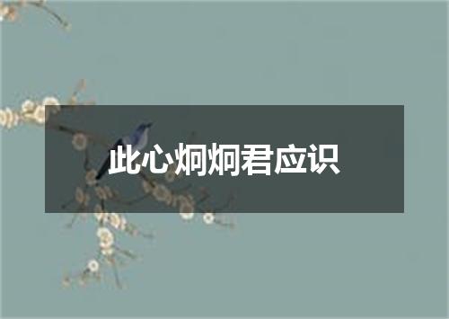 此心炯炯君应识