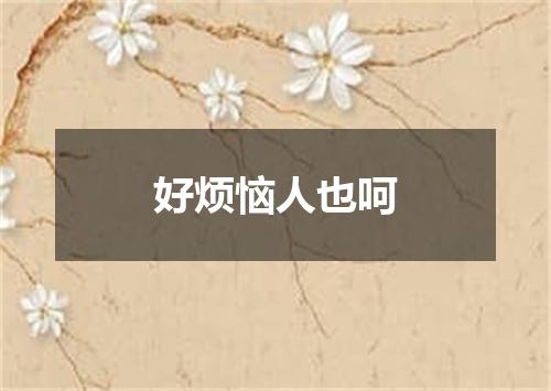 好烦恼人也呵