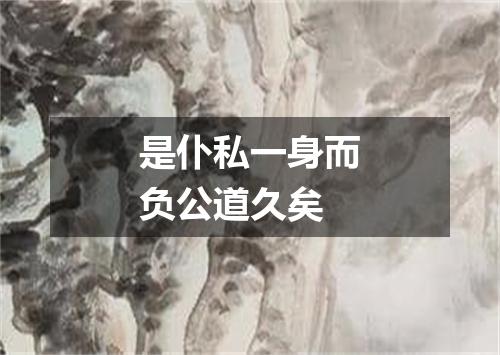 是仆私一身而负公道久矣